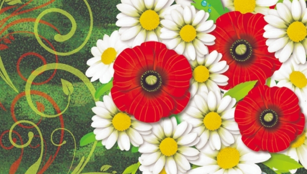 Цветы для мамы