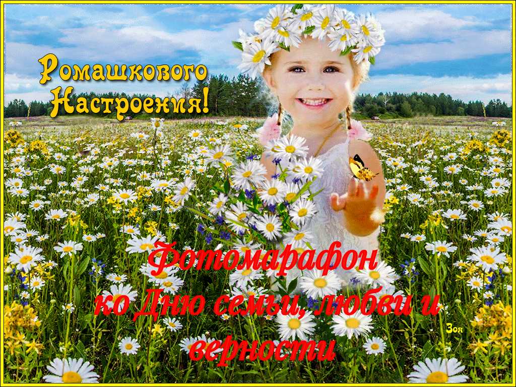 Запускаем красивый ФОТОМАРАФОН ко Дню семьи, любви и верности "Ромашкового настроения"