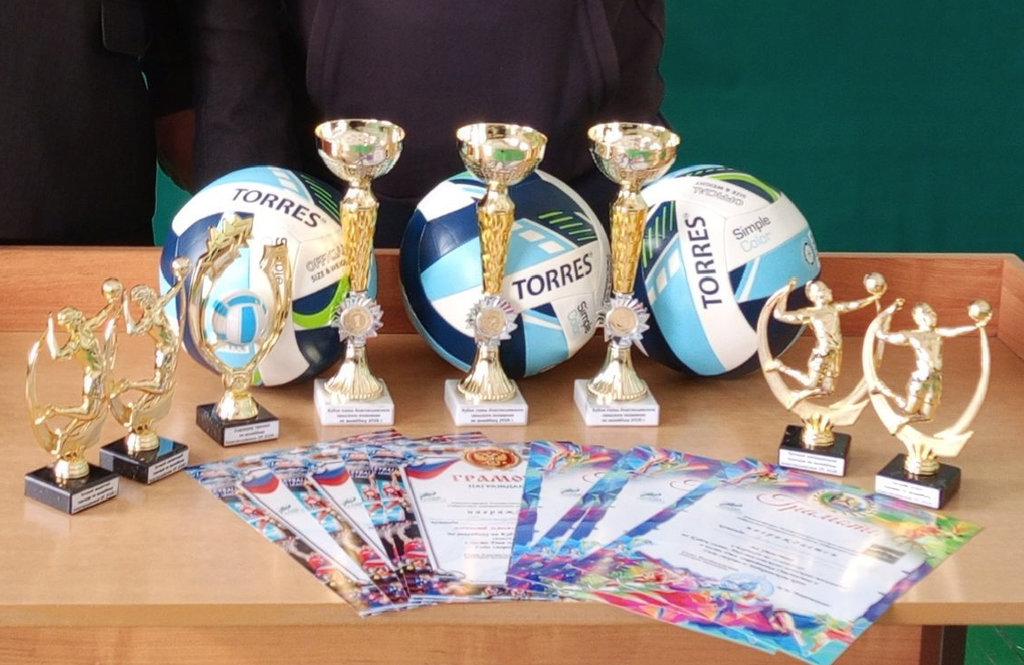 Турнир по волейболу на Кубок главы Анастасьевского сельского  поселения